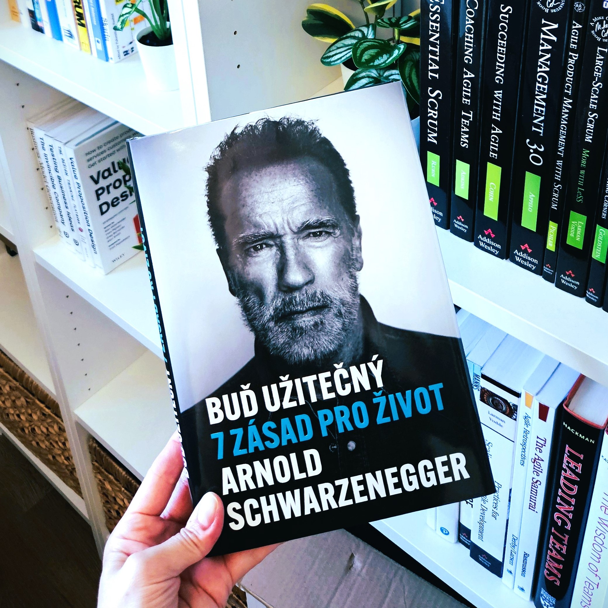 Buď užitečný: 7 zásad pro život (Be Useful: Seven Tools for Life) - Arnold Schwarzenegger