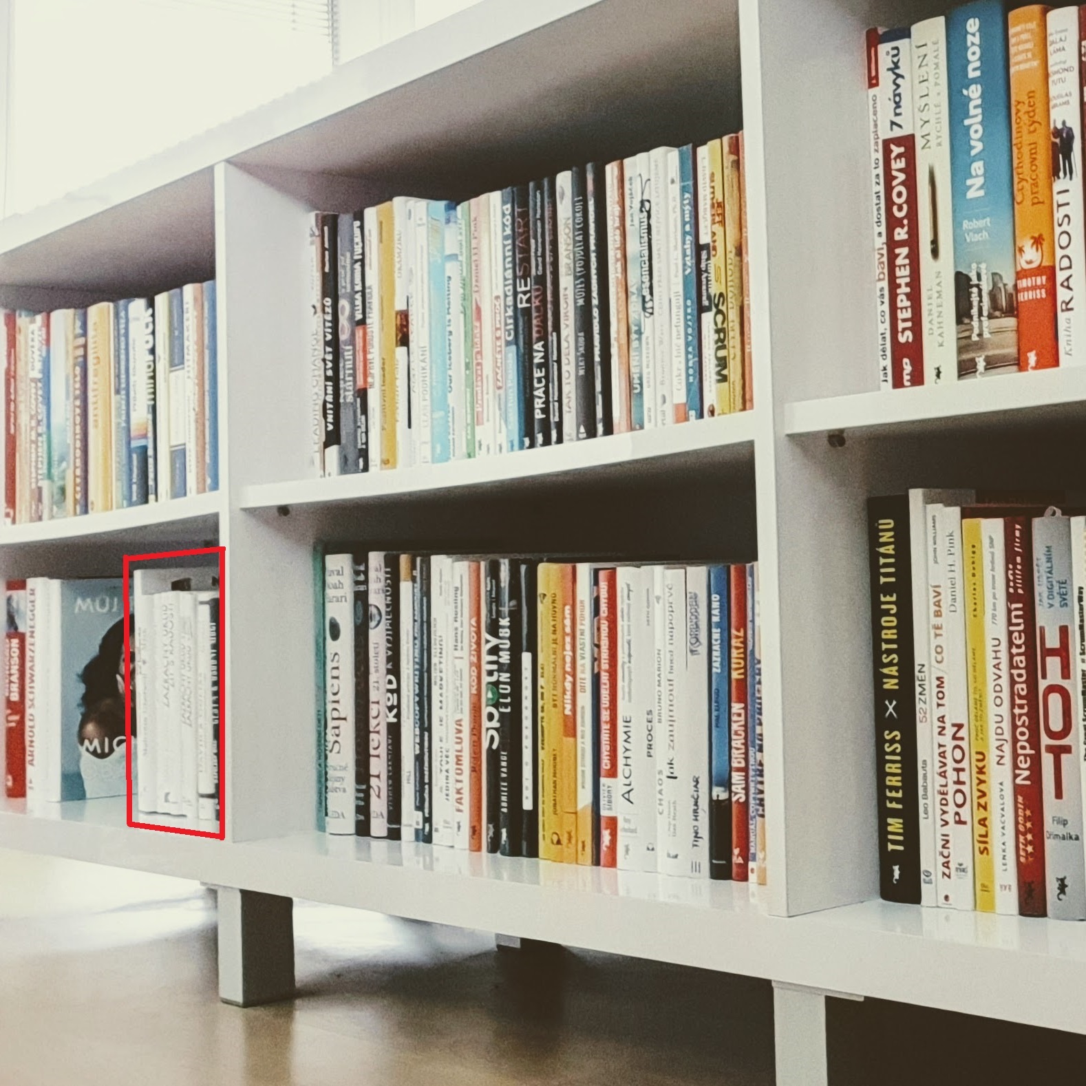Fotka mé knihovny se záběrem na police pln knih - na fotce je vyznačeno několik knížek, které jsou aktuálně pauznuté a čekají na své budoucí dočtení.
