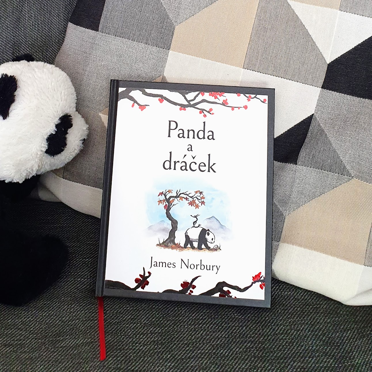 Panda a dráček (Big Panda and Tiny Dragon) - James Norbury